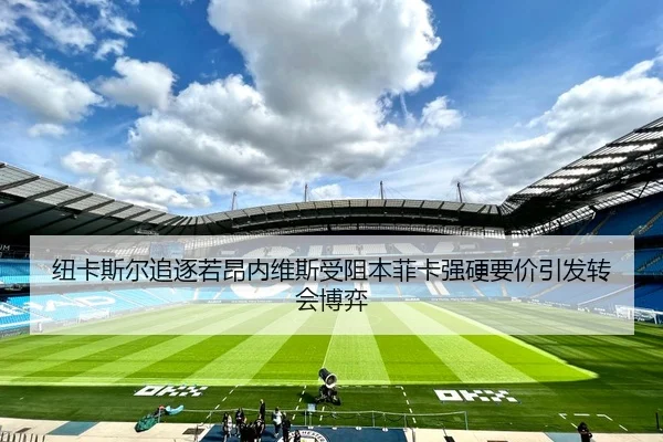 纽卡斯尔追逐若昂内维斯受阻本菲卡强硬要价引发转会博弈